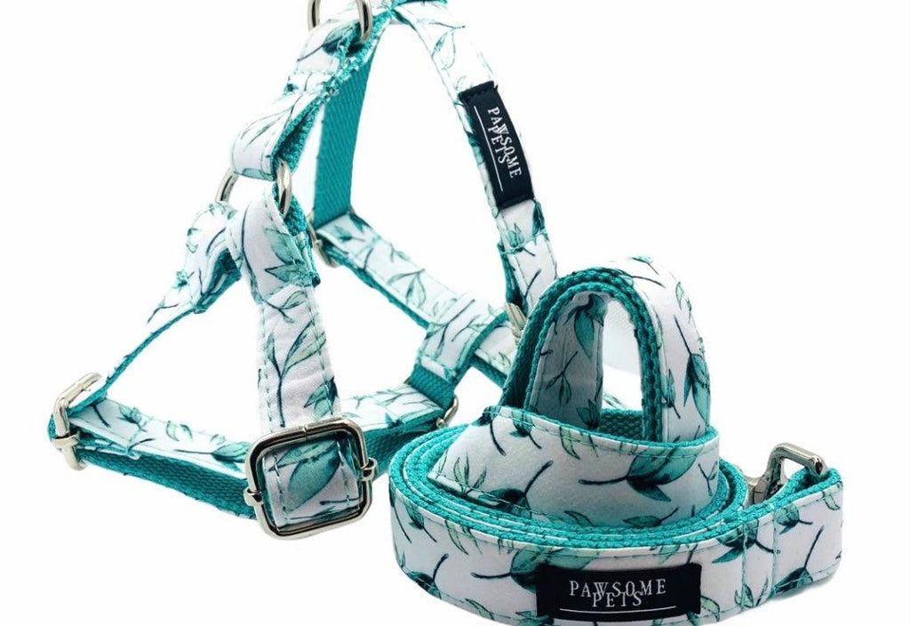 STEP IN HARNESS - MINT LEAF